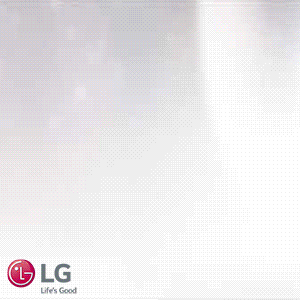 LG OLED 15.01.17